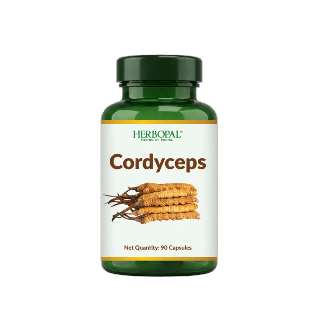 Cordyceps (CS-4 Extract)